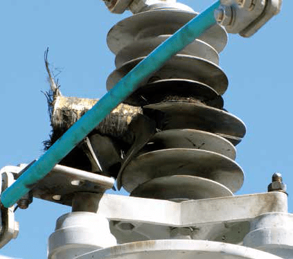 Статья-2-22 июля-информационный бюллетень-2