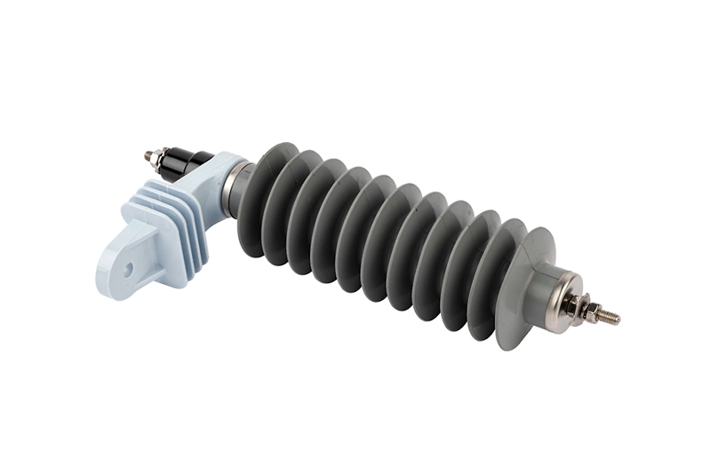 Защитник Surge vs Arrester