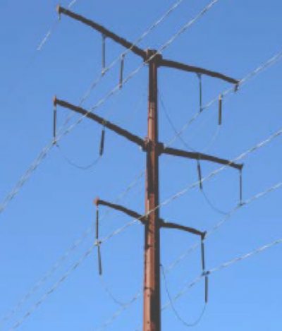 Структура-обзор (1)